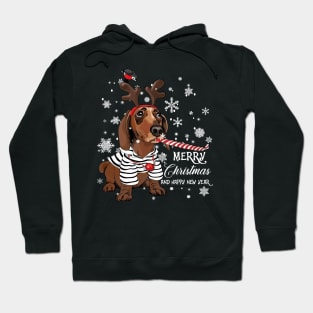 cute dachshund merry christmas and happy new year Hoodie